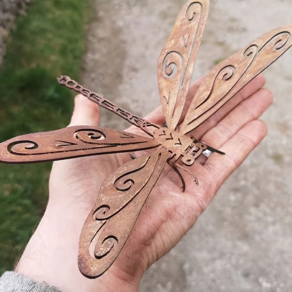 Dragonfly - Picture 5 of 8